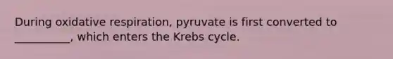 During oxidative respiration, pyruvate is first converted to __________, which enters the Krebs cycle.