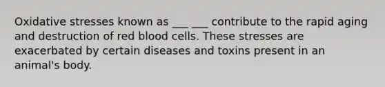 Oxidative stresses known as ___ ___ contribute to the rapid aging and destruction of red blood cells. These stresses are exacerbated by certain diseases and toxins present in an animal's body.