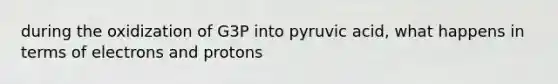 during the oxidization of G3P into pyruvic acid, what happens in terms of electrons and protons