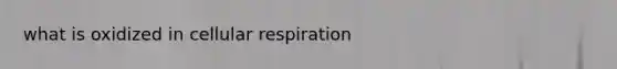 what is oxidized in <a href='https://www.questionai.com/knowledge/k1IqNYBAJw-cellular-respiration' class='anchor-knowledge'>cellular respiration</a>