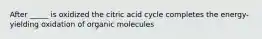 After _____ is oxidized the citric acid cycle completes the energy-yielding oxidation of organic molecules