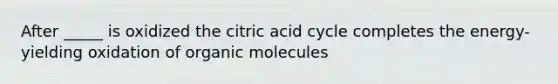 After _____ is oxidized the citric acid cycle completes the energy-yielding oxidation of organic molecules