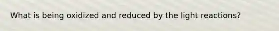 What is being oxidized and reduced by the light reactions?