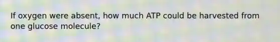 If oxygen were absent, how much ATP could be harvested from one glucose molecule?