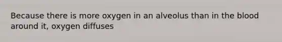 Because there is more oxygen in an alveolus than in the blood around it, oxygen diffuses