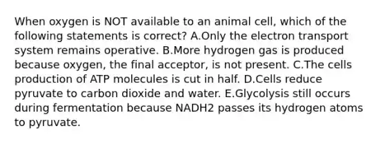 When oxygen is NOT available to an animal cell, which of the following statements is correct? A.Only the electron transport system remains operative. B.More hydrogen gas is produced because oxygen, the final acceptor, is not present. C.The cells production of ATP molecules is cut in half. D.Cells reduce pyruvate to carbon dioxide and water. E.Glycolysis still occurs during fermentation because NADH2 passes its hydrogen atoms to pyruvate.