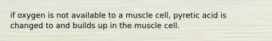 if oxygen is not available to a muscle cell, pyretic acid is changed to and builds up in the muscle cell.