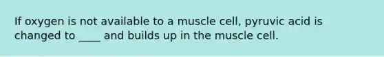 If oxygen is not available to a muscle cell, pyruvic acid is changed to ____ and builds up in the muscle cell.​