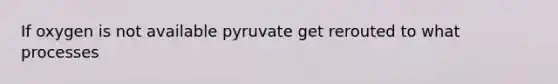 If oxygen is not available pyruvate get rerouted to what processes