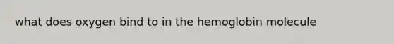 what does oxygen bind to in the hemoglobin molecule