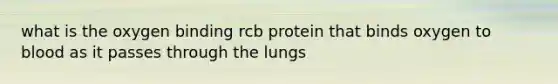 what is the oxygen binding rcb protein that binds oxygen to blood as it passes through the lungs