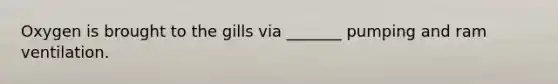 Oxygen is brought to the gills via _______ pumping and ram ventilation.