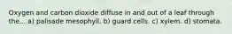 Oxygen and carbon dioxide diffuse in and out of a leaf through the... a) palisade mesophyll. b) guard cells. c) xylem. d) stomata.