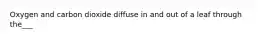 Oxygen and carbon dioxide diffuse in and out of a leaf through the___