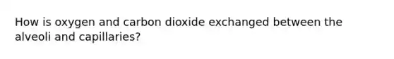 How is oxygen and carbon dioxide exchanged between the alveoli and capillaries?