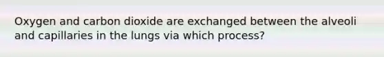 Oxygen and carbon dioxide are exchanged between the alveoli and capillaries in the lungs via which process?