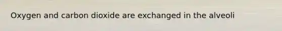 Oxygen and carbon dioxide are exchanged in the alveoli