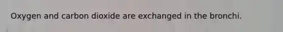 Oxygen and carbon dioxide are exchanged in the bronchi.
