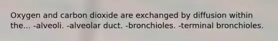 Oxygen and carbon dioxide are exchanged by diffusion within the... -alveoli. -alveolar duct. -bronchioles. -terminal bronchioles.