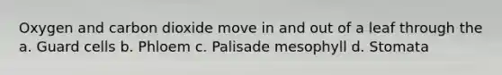 Oxygen and carbon dioxide move in and out of a leaf through the a. Guard cells b. Phloem c. Palisade mesophyll d. Stomata