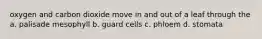 oxygen and carbon dioxide move in and out of a leaf through the a. palisade mesophyll b. guard cells c. phloem d. stomata