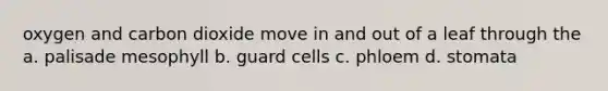 oxygen and carbon dioxide move in and out of a leaf through the a. palisade mesophyll b. guard cells c. phloem d. stomata