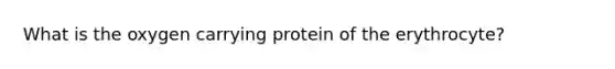 What is the oxygen carrying protein of the erythrocyte?