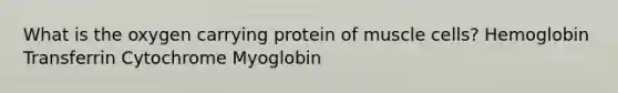 What is the oxygen carrying protein of muscle cells? Hemoglobin Transferrin Cytochrome Myoglobin