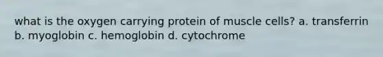 what is the oxygen carrying protein of muscle cells? a. transferrin b. myoglobin c. hemoglobin d. cytochrome