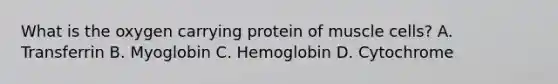 What is the oxygen carrying protein of muscle cells? A. Transferrin B. Myoglobin C. Hemoglobin D. Cytochrome