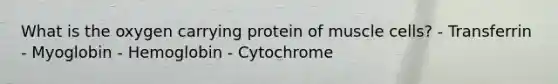 What is the oxygen carrying protein of muscle cells? - Transferrin - Myoglobin - Hemoglobin - Cytochrome