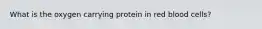 What is the oxygen carrying protein in red blood cells?