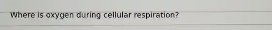 Where is oxygen during cellular respiration?