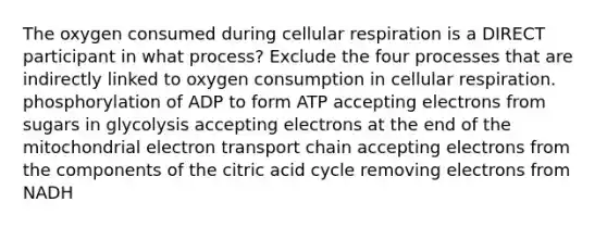 The oxygen consumed during cellular respiration is a DIRECT participant in what process? Exclude the four processes that are indirectly linked to oxygen consumption in cellular respiration. phosphorylation of ADP to form ATP accepting electrons from sugars in glycolysis accepting electrons at the end of the mitochondrial electron transport chain accepting electrons from the components of the citric acid cycle removing electrons from NADH