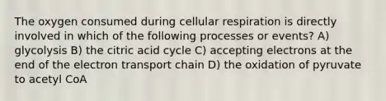 The oxygen consumed during cellular respiration is directly involved in which of the following processes or events? A) glycolysis B) the citric acid cycle C) accepting electrons at the end of the electron transport chain D) the oxidation of pyruvate to acetyl CoA