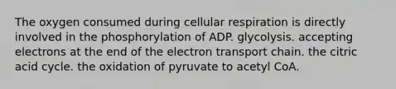 The oxygen consumed during <a href='https://www.questionai.com/knowledge/k1IqNYBAJw-cellular-respiration' class='anchor-knowledge'>cellular respiration</a> is directly involved in the phosphorylation of ADP. glycolysis. accepting electrons at the end of <a href='https://www.questionai.com/knowledge/k57oGBr0HP-the-electron-transport-chain' class='anchor-knowledge'>the electron transport chain</a>. the citric acid cycle. the oxidation of pyruvate to acetyl CoA.