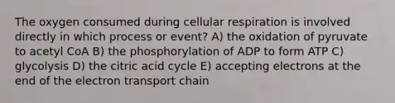 The oxygen consumed during cellular respiration is involved directly in which process or event? A) the oxidation of pyruvate to acetyl CoA B) the phosphorylation of ADP to form ATP C) glycolysis D) the citric acid cycle E) accepting electrons at the end of the electron transport chain