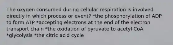 The oxygen consumed during cellular respiration is involved directly in which process or event? *the phosphorylation of ADP to form ATP *accepting electrons at the end of the electron transport chain *the oxidation of pyruvate to acetyl CoA *glycolysis *the citric acid cycle