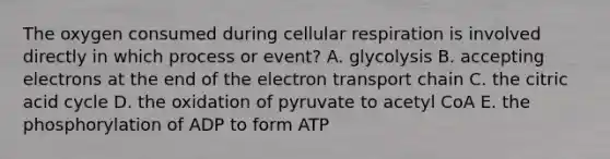 The oxygen consumed during cellular respiration is involved directly in which process or event? A. glycolysis B. accepting electrons at the end of the electron transport chain C. the citric acid cycle D. the oxidation of pyruvate to acetyl CoA E. the phosphorylation of ADP to form ATP