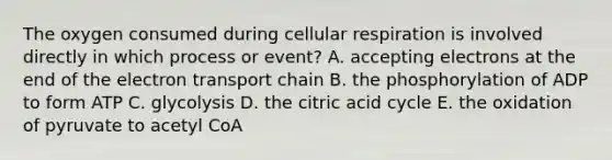 The oxygen consumed during <a href='https://www.questionai.com/knowledge/k1IqNYBAJw-cellular-respiration' class='anchor-knowledge'>cellular respiration</a> is involved directly in which process or event? A. accepting electrons at the end of <a href='https://www.questionai.com/knowledge/k57oGBr0HP-the-electron-transport-chain' class='anchor-knowledge'>the electron transport chain</a> B. the phosphorylation of ADP to form ATP C. glycolysis D. the citric acid cycle E. the oxidation of pyruvate to acetyl CoA