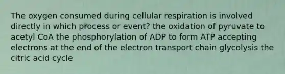 The oxygen consumed during cellular respiration is involved directly in which process or event? the oxidation of pyruvate to acetyl CoA the phosphorylation of ADP to form ATP accepting electrons at the end of the electron transport chain glycolysis the citric acid cycle