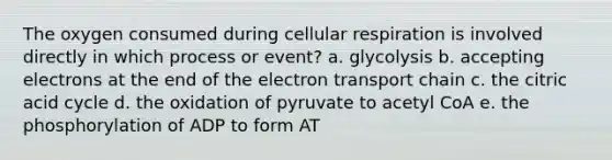 The oxygen consumed during cellular respiration is involved directly in which process or event? a. glycolysis b. accepting electrons at the end of the electron transport chain c. the citric acid cycle d. the oxidation of pyruvate to acetyl CoA e. the phosphorylation of ADP to form AT