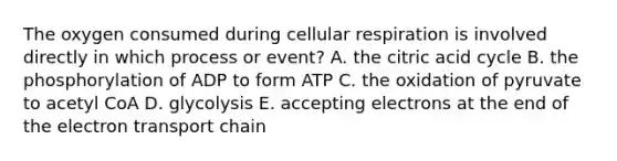 The oxygen consumed during cellular respiration is involved directly in which process or event? A. the citric acid cycle B. the phosphorylation of ADP to form ATP C. the oxidation of pyruvate to acetyl CoA D. glycolysis E. accepting electrons at the end of the electron transport chain