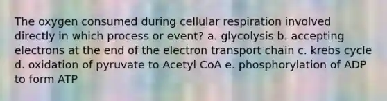 The oxygen consumed during cellular respiration involved directly in which process or event? a. glycolysis b. accepting electrons at the end of the electron transport chain c. krebs cycle d. oxidation of pyruvate to Acetyl CoA e. phosphorylation of ADP to form ATP