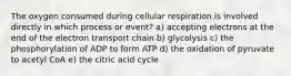 The oxygen consumed during cellular respiration is involved directly in which process or event? a) accepting electrons at the end of the electron transport chain b) glycolysis c) the phosphorylation of ADP to form ATP d) the oxidation of pyruvate to acetyl CoA e) the citric acid cycle