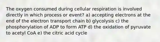 The oxygen consumed during <a href='https://www.questionai.com/knowledge/k1IqNYBAJw-cellular-respiration' class='anchor-knowledge'>cellular respiration</a> is involved directly in which process or event? a) accepting electrons at the end of <a href='https://www.questionai.com/knowledge/k57oGBr0HP-the-electron-transport-chain' class='anchor-knowledge'>the electron transport chain</a> b) glycolysis c) the phosphorylation of ADP to form ATP d) the oxidation of pyruvate to acetyl CoA e) the citric acid cycle