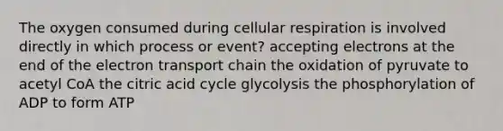 The oxygen consumed during <a href='https://www.questionai.com/knowledge/k1IqNYBAJw-cellular-respiration' class='anchor-knowledge'>cellular respiration</a> is involved directly in which process or event? accepting electrons at the end of <a href='https://www.questionai.com/knowledge/k57oGBr0HP-the-electron-transport-chain' class='anchor-knowledge'>the electron transport chain</a> the oxidation of pyruvate to acetyl CoA the citric acid cycle glycolysis the phosphorylation of ADP to form ATP