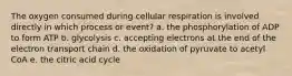 The oxygen consumed during cellular respiration is involved directly in which process or event? a. the phosphorylation of ADP to form ATP b. glycolysis c. accepting electrons at the end of the electron transport chain d. the oxidation of pyruvate to acetyl CoA e. the citric acid cycle