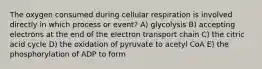 The oxygen consumed during cellular respiration is involved directly in which process or event? A) glycolysis B) accepting electrons at the end of the electron transport chain C) the citric acid cycle D) the oxidation of pyruvate to acetyl CoA E) the phosphorylation of ADP to form