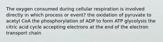 The oxygen consumed during cellular respiration is involved directly in which process or event? the oxidation of pyruvate to acetyl CoA the phosphorylation of ADP to form ATP glycolysis the citric acid cycle accepting electrons at the end of the electron transport chain